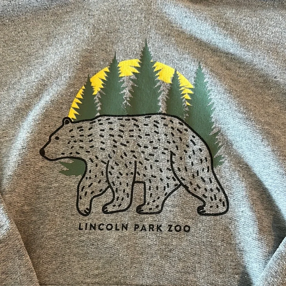 Gildan Gray Lincoln Park Zoo Bear Hoodie for Kids - Picture 2 of 5